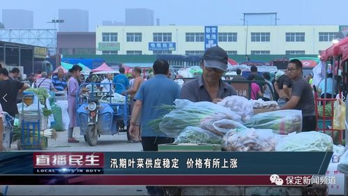 保定汛期蔬菜水果市場動(dòng)態(tài) 葉菜供應(yīng)穩(wěn)定價(jià)漲，大蔥批發(fā)價(jià)回歸一元時(shí)代